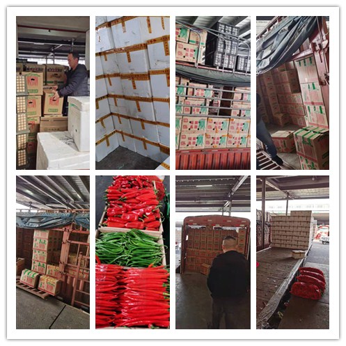 PA视讯(中国)集团官网 - PlayAce