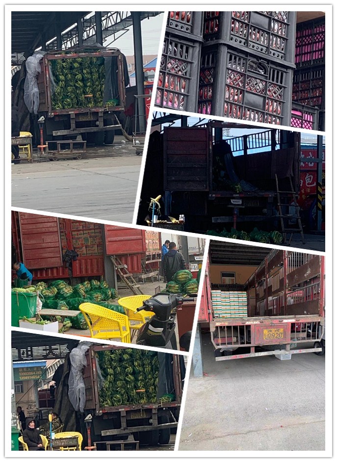 PA视讯(中国)集团官网 - PlayAce