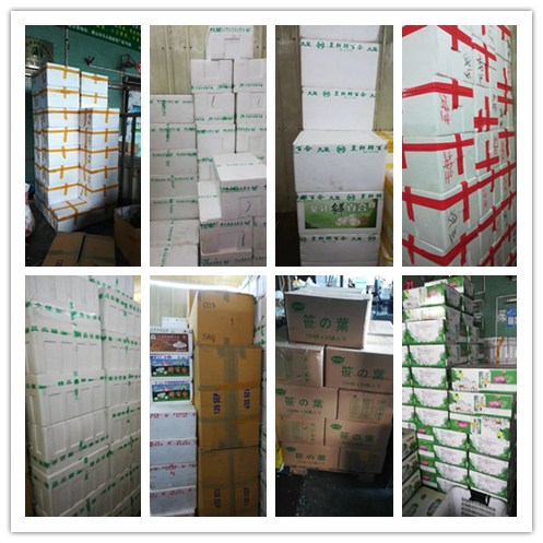 PA视讯(中国)集团官网 - PlayAce