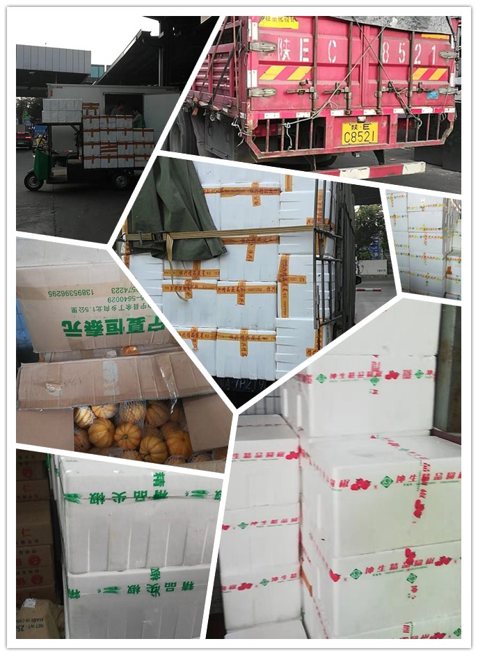 PA视讯(中国)集团官网 - PlayAce