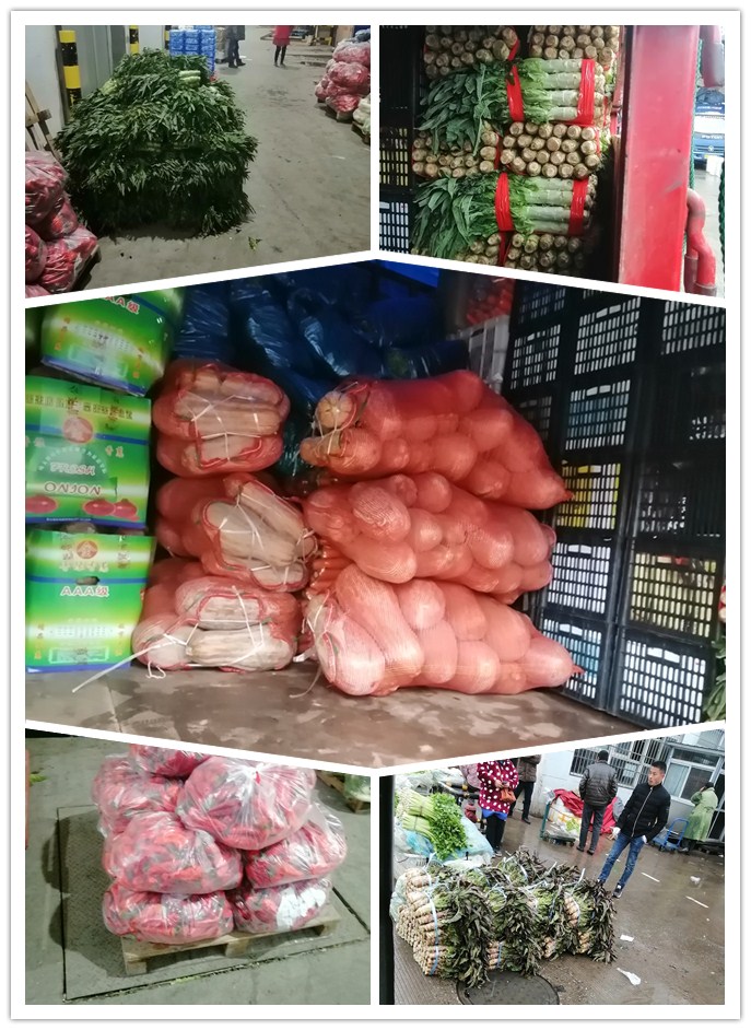 PA视讯(中国)集团官网 - PlayAce