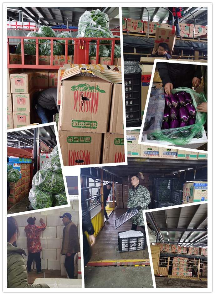 PA视讯(中国)集团官网 - PlayAce