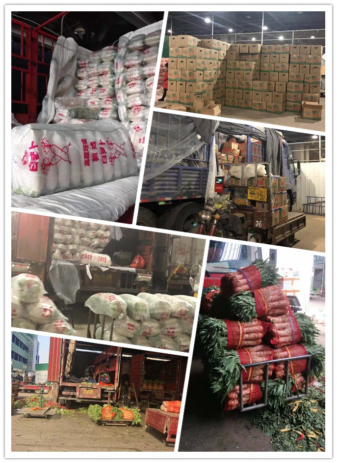 PA视讯(中国)集团官网 - PlayAce