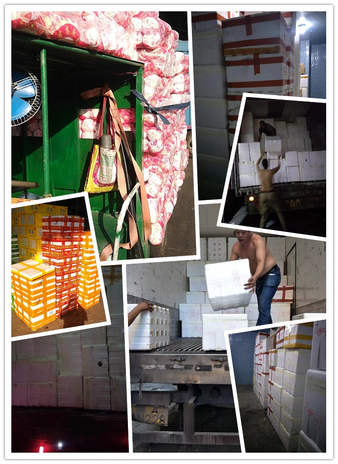 PA视讯(中国)集团官网 - PlayAce