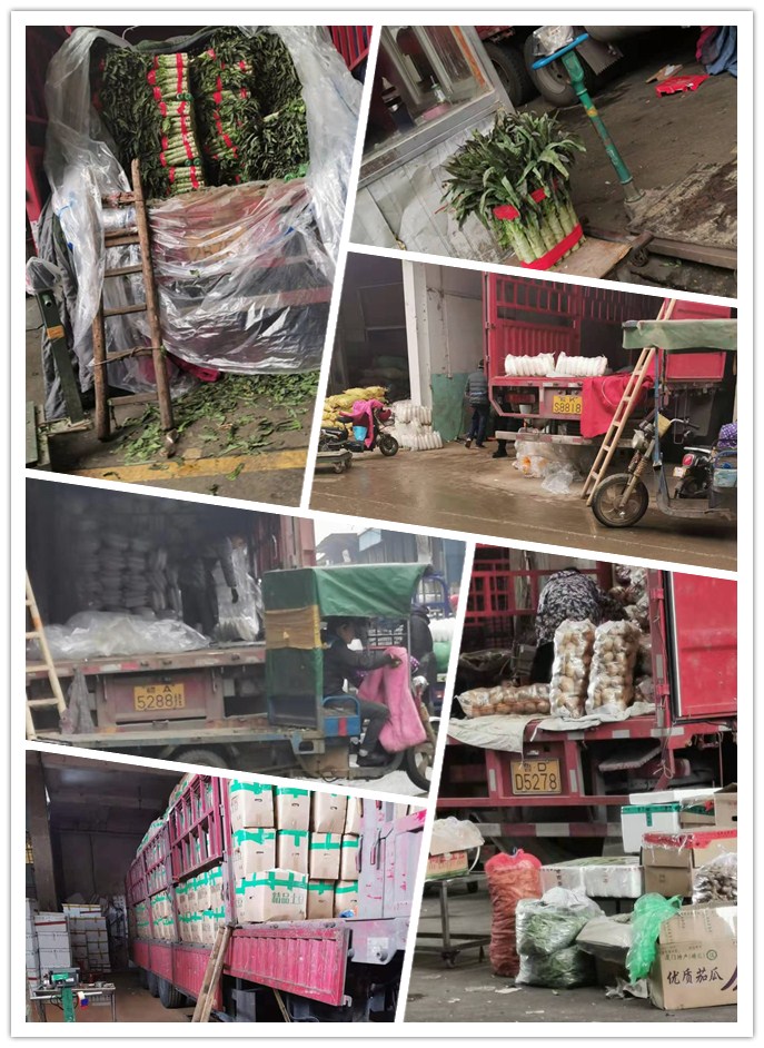 PA视讯(中国)集团官网 - PlayAce