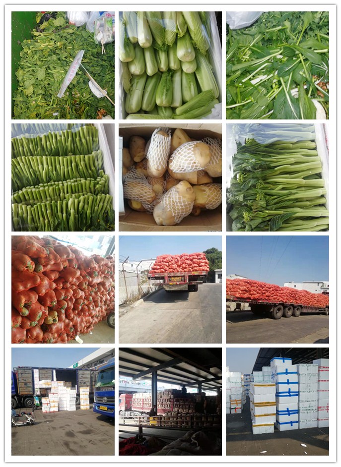 PA视讯(中国)集团官网 - PlayAce