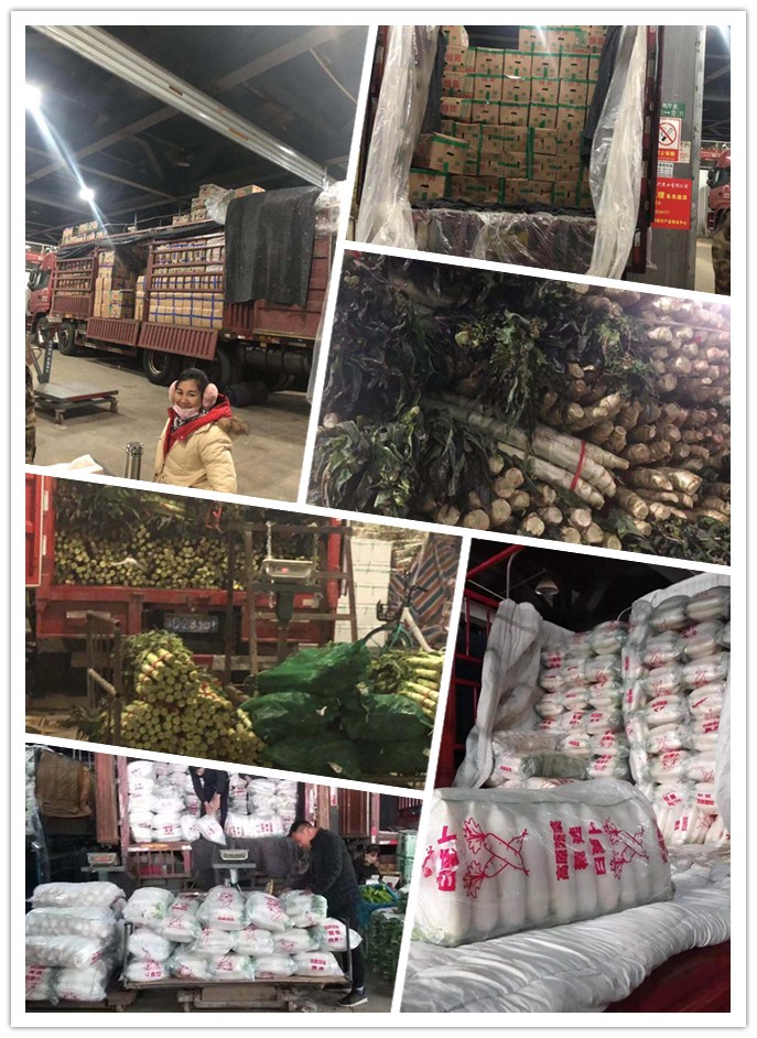 PA视讯(中国)集团官网 - PlayAce