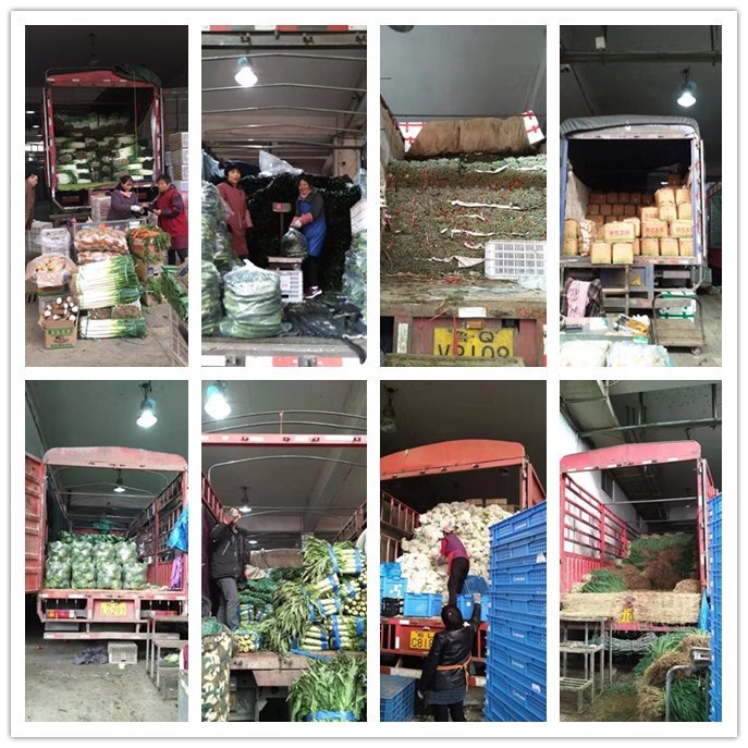 PA视讯(中国)集团官网 - PlayAce