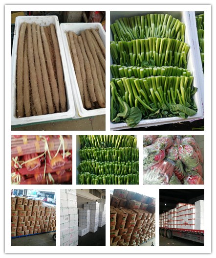 PA视讯(中国)集团官网 - PlayAce