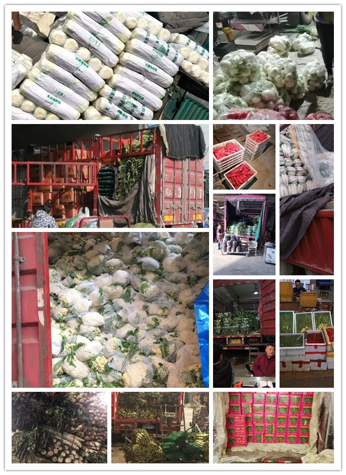 PA视讯(中国)集团官网 - PlayAce