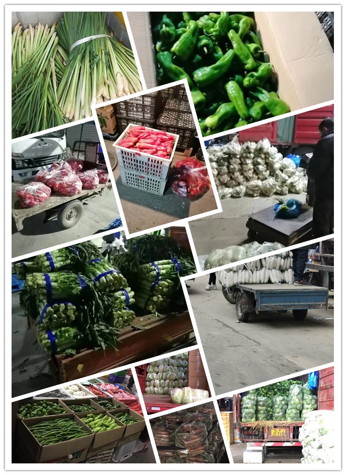 PA视讯(中国)集团官网 - PlayAce