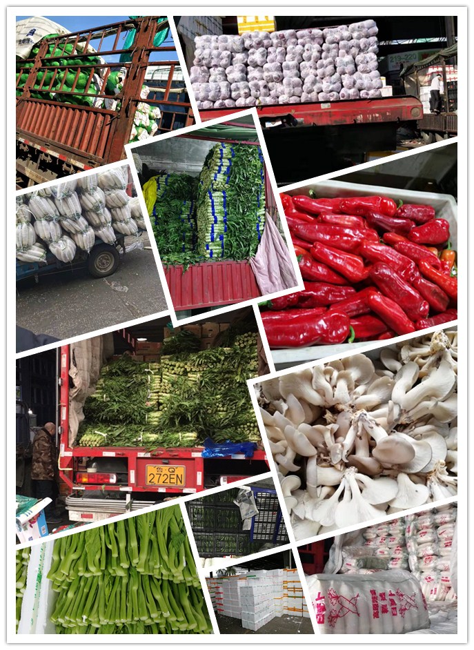 PA视讯(中国)集团官网 - PlayAce