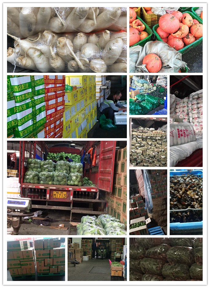 PA视讯(中国)集团官网 - PlayAce