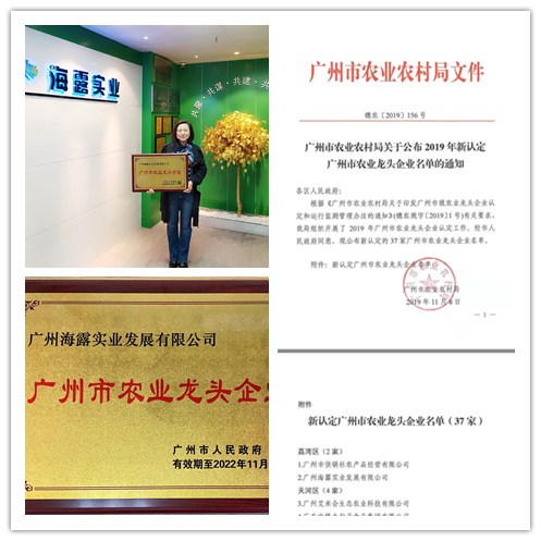 PA视讯(中国)集团官网 - PlayAce