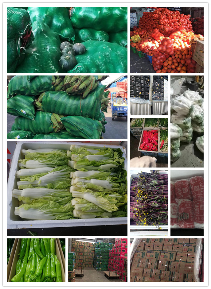 PA视讯(中国)集团官网 - PlayAce