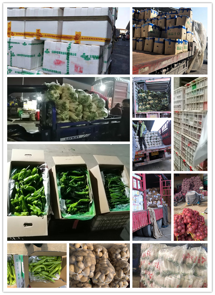 PA视讯(中国)集团官网 - PlayAce