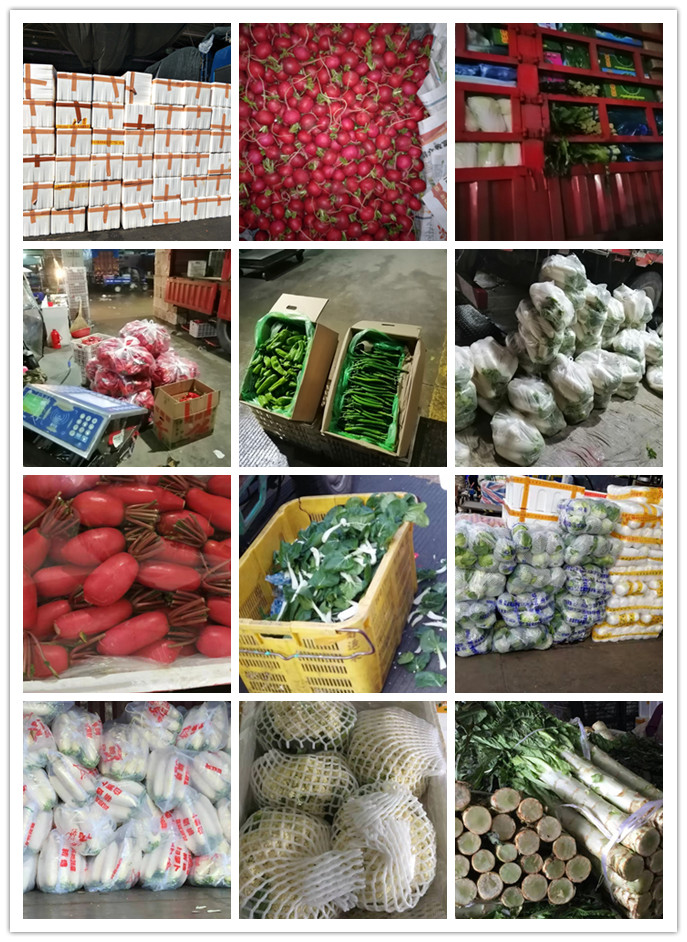 PA视讯(中国)集团官网 - PlayAce