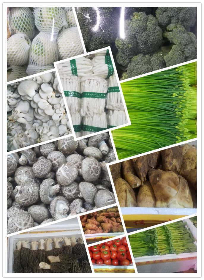 PA视讯(中国)集团官网 - PlayAce