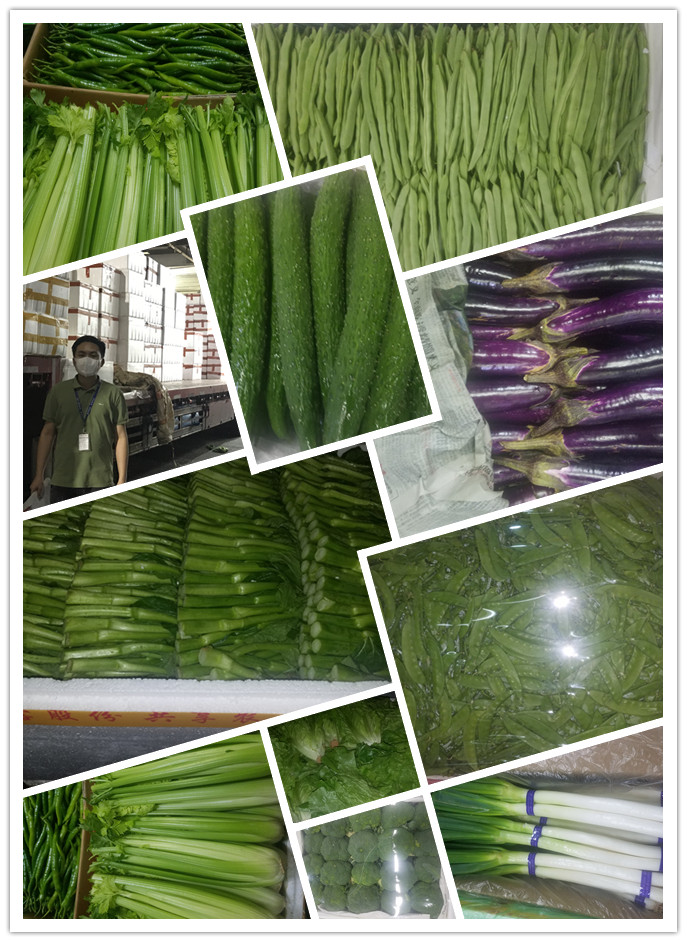 PA视讯(中国)集团官网 - PlayAce