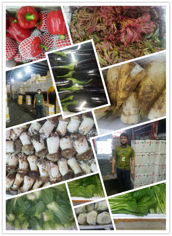 PA视讯(中国)集团官网 - PlayAce