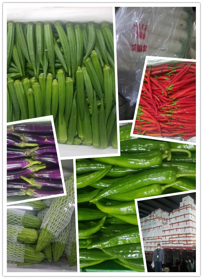 PA视讯(中国)集团官网 - PlayAce