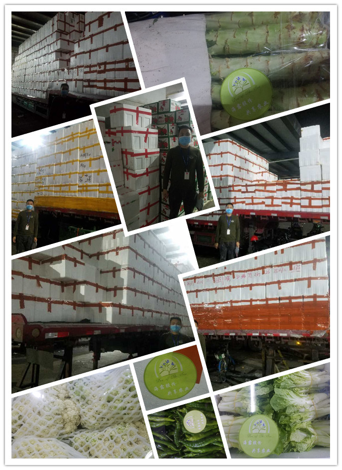 PA视讯(中国)集团官网 - PlayAce