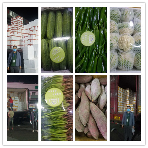 PA视讯(中国)集团官网 - PlayAce