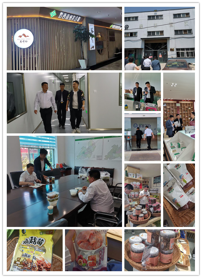 PA视讯(中国)集团官网 - PlayAce