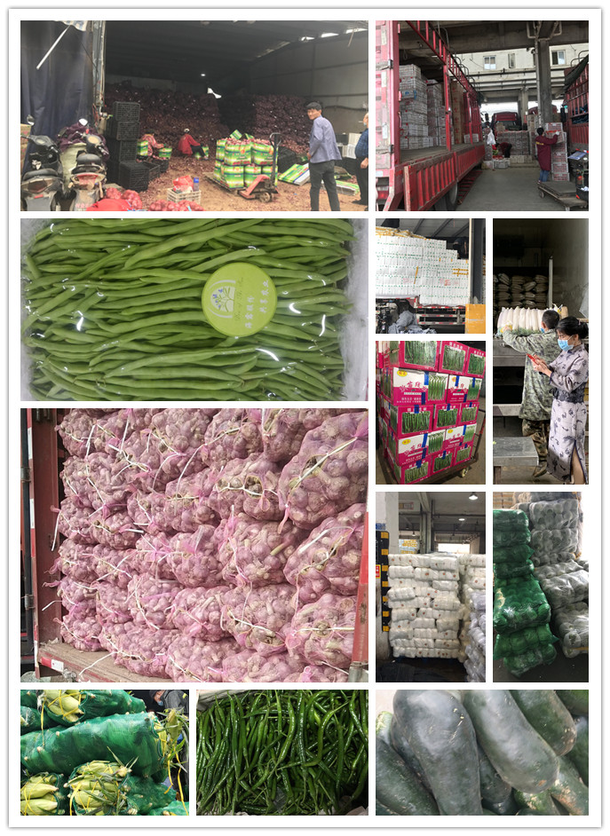 PA视讯(中国)集团官网 - PlayAce