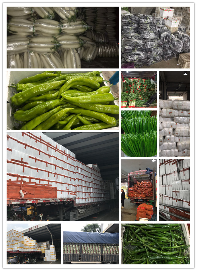 PA视讯(中国)集团官网 - PlayAce