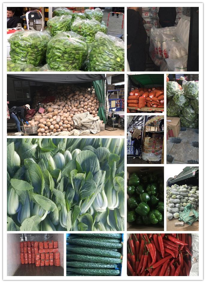 PA视讯(中国)集团官网 - PlayAce