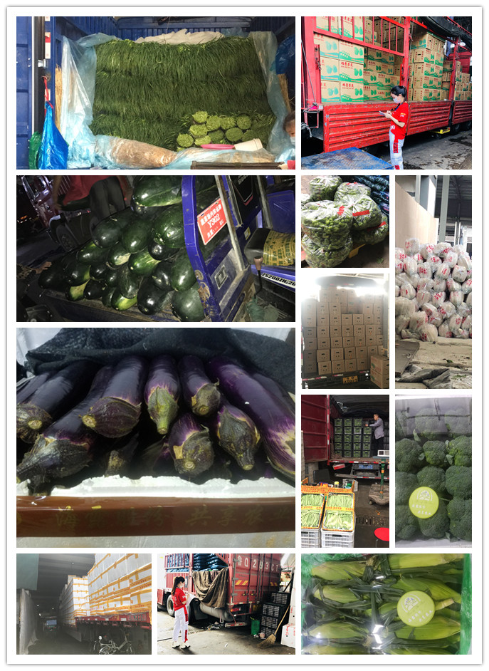 PA视讯(中国)集团官网 - PlayAce