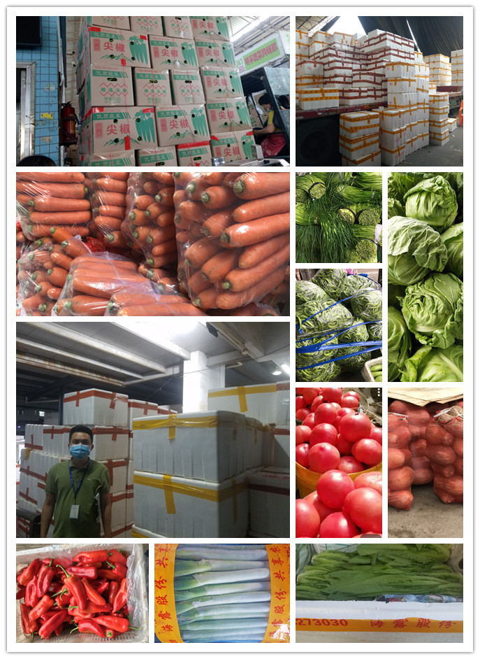 PA视讯(中国)集团官网 - PlayAce