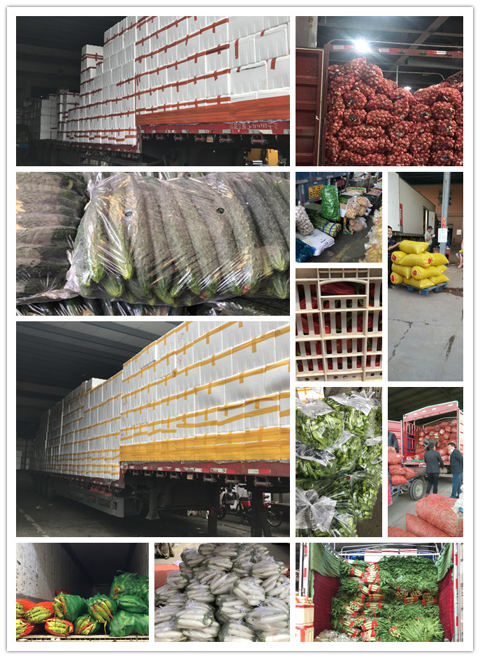 PA视讯(中国)集团官网 - PlayAce