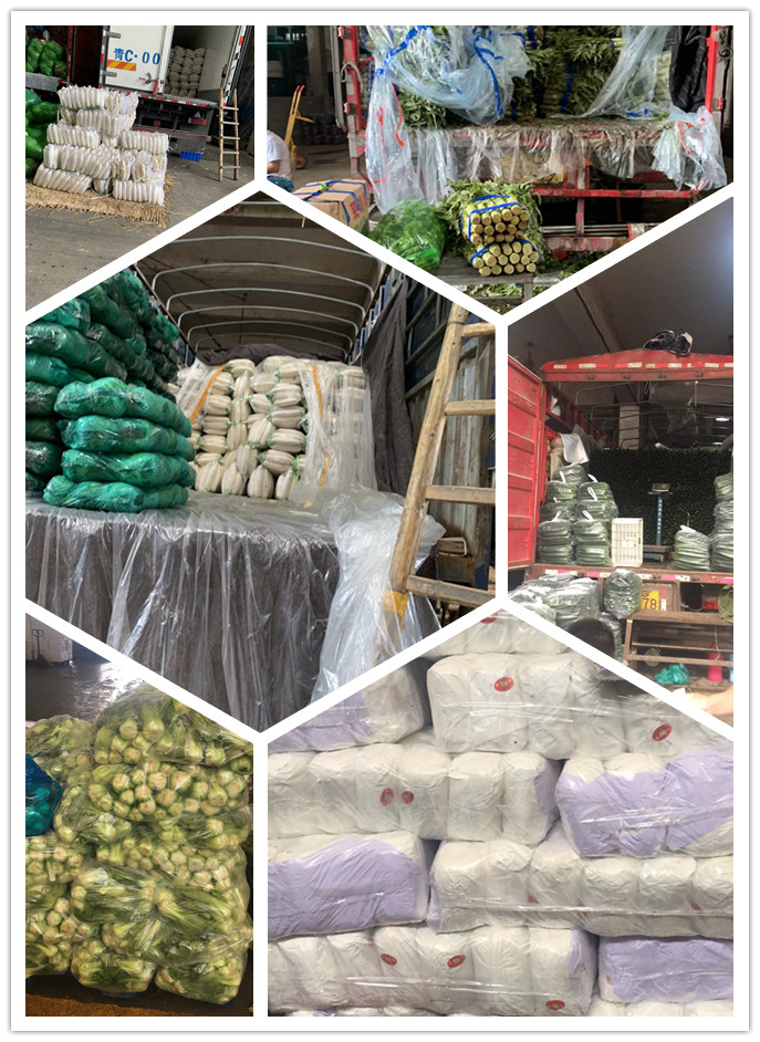 PA视讯(中国)集团官网 - PlayAce