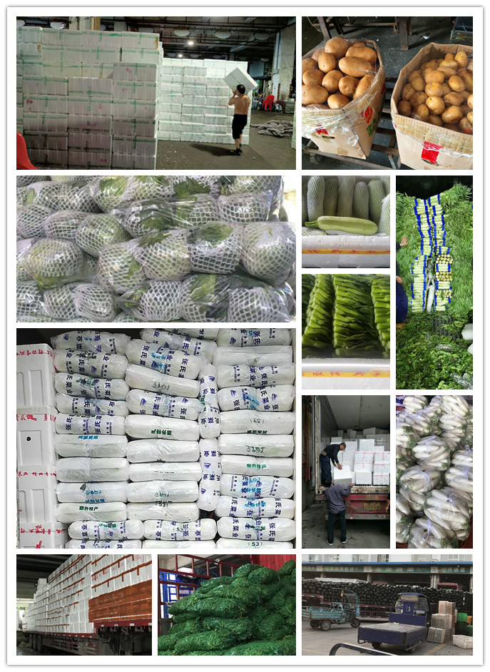 PA视讯(中国)集团官网 - PlayAce