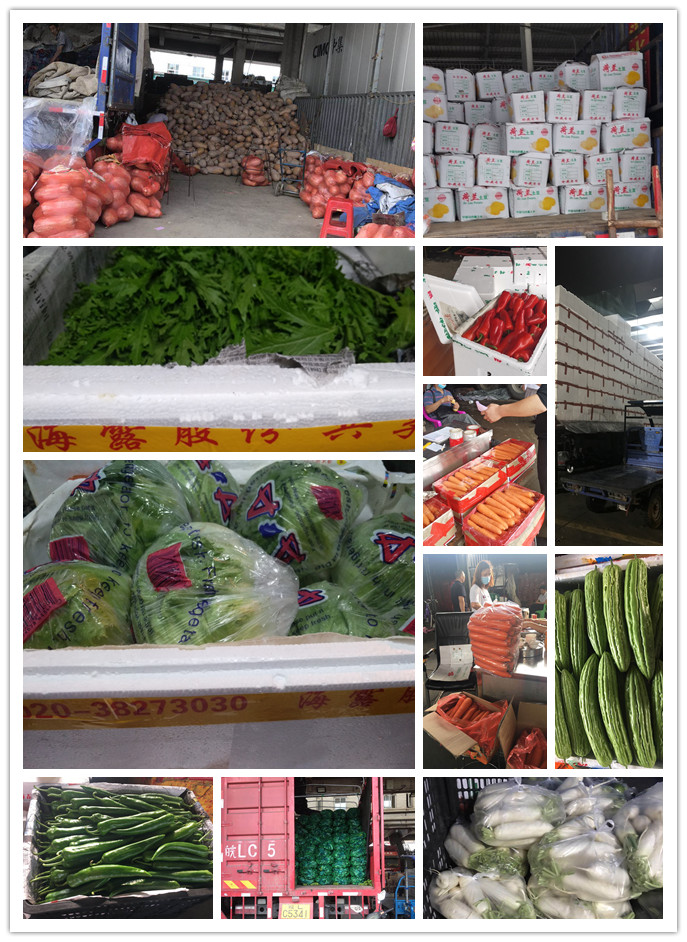 PA视讯(中国)集团官网 - PlayAce