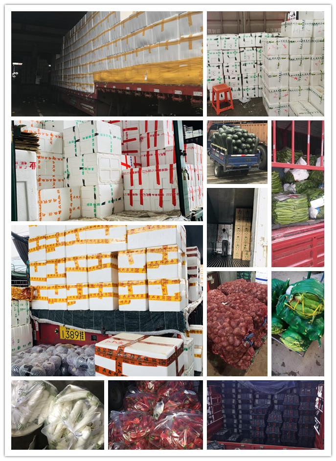 PA视讯(中国)集团官网 - PlayAce