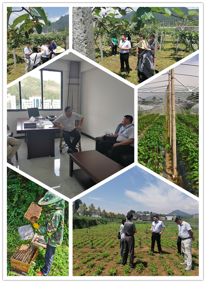 PA视讯(中国)集团官网 - PlayAce