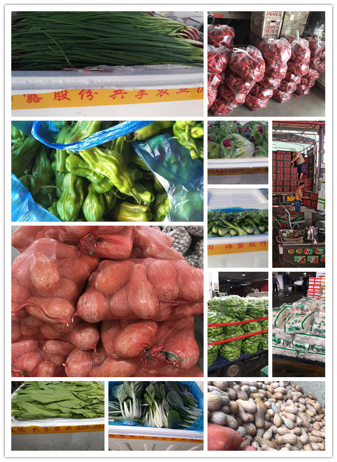 PA视讯(中国)集团官网 - PlayAce