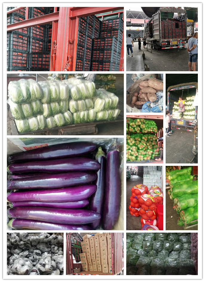 PA视讯(中国)集团官网 - PlayAce