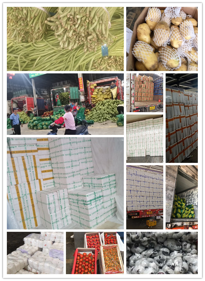 PA视讯(中国)集团官网 - PlayAce