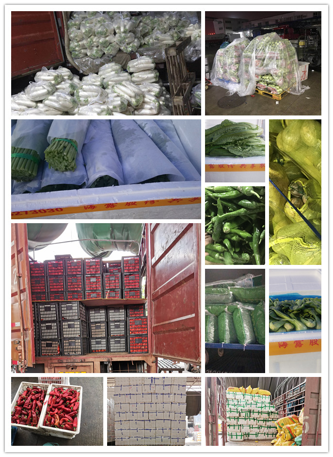 PA视讯(中国)集团官网 - PlayAce