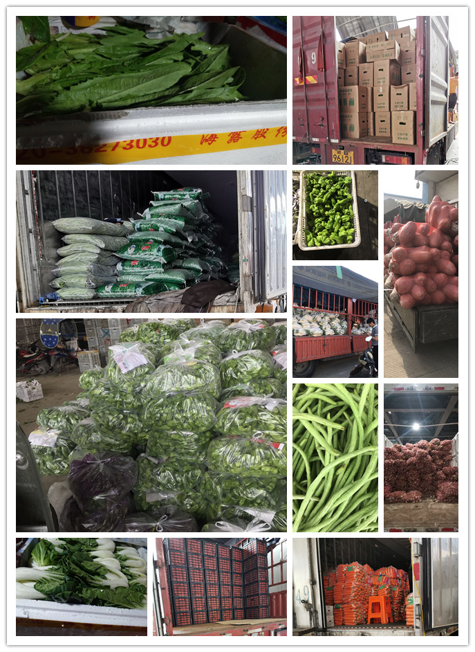 PA视讯(中国)集团官网 - PlayAce