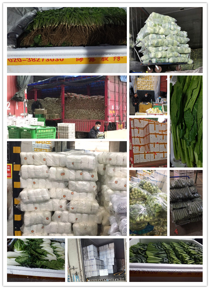 PA视讯(中国)集团官网 - PlayAce