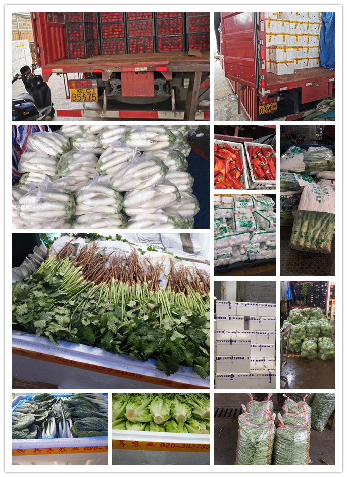 PA视讯(中国)集团官网 - PlayAce