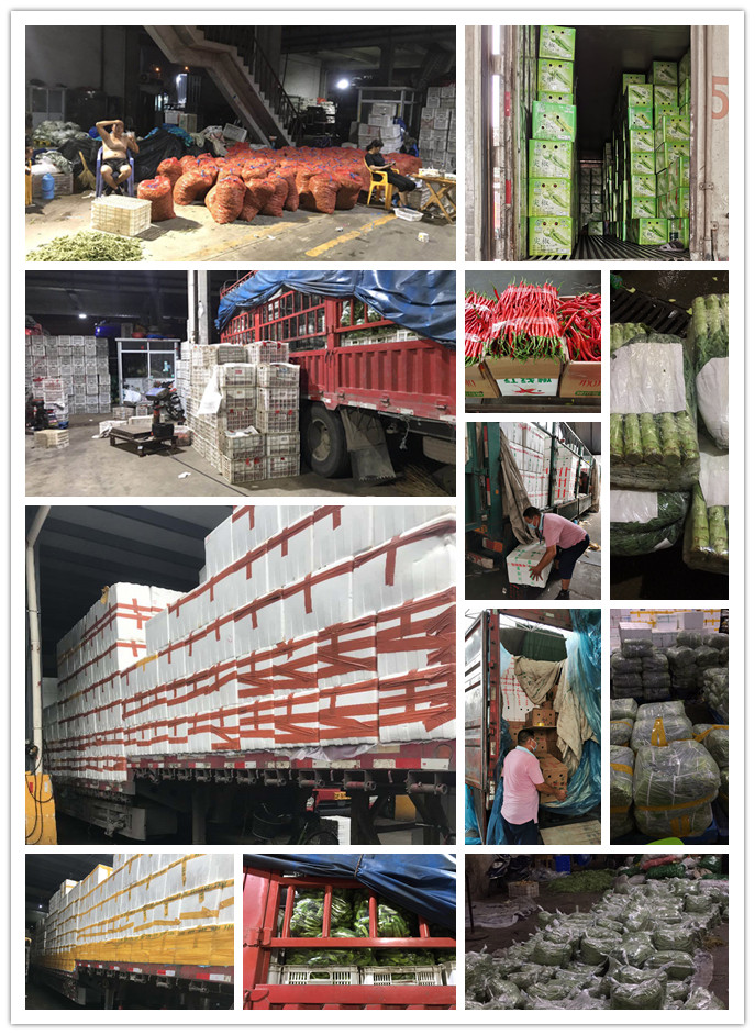 PA视讯(中国)集团官网 - PlayAce