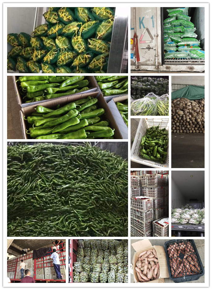 PA视讯(中国)集团官网 - PlayAce