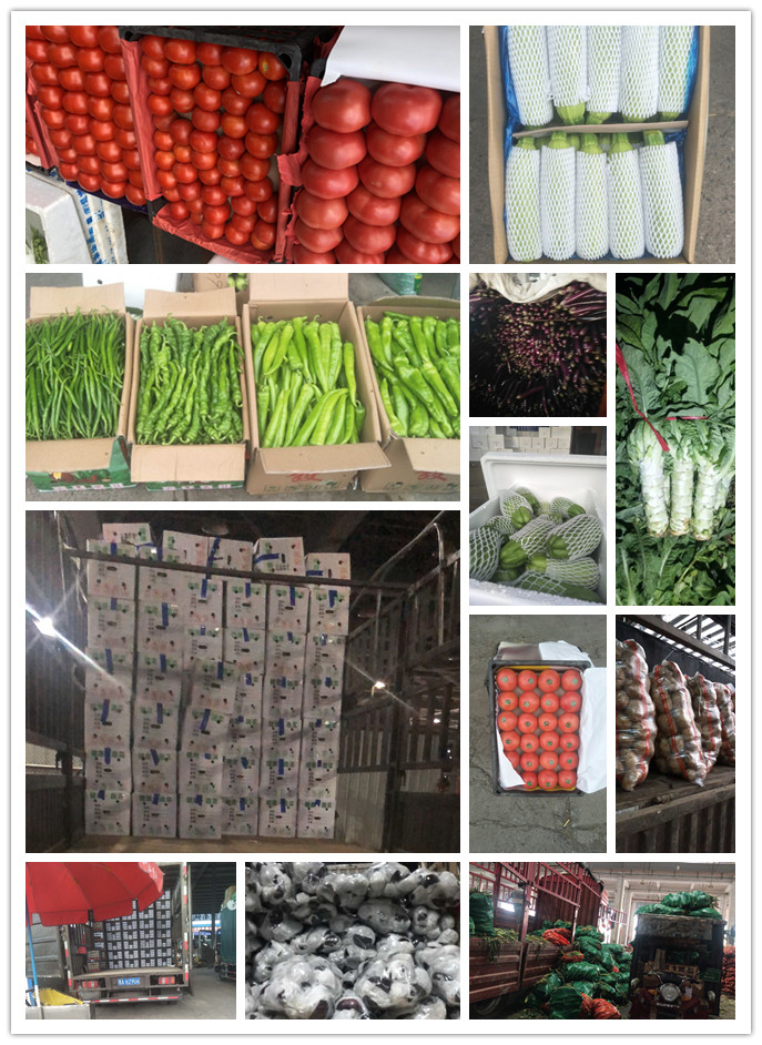 PA视讯(中国)集团官网 - PlayAce