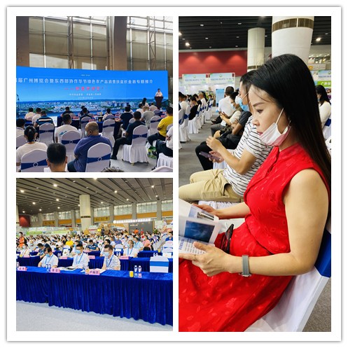 PA视讯(中国)集团官网 - PlayAce